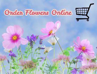 Best Places to Order Flowers Online